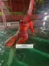 Zdjęcie 3