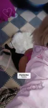 Zdjęcie 5