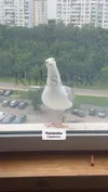 Zdjęcie 2