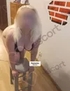 Zdjęcie 7