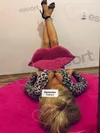 Zdjęcie 2