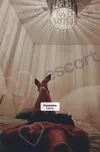 Zdjęcie 3