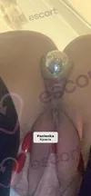 Zdjęcie 10