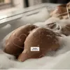Zdjęcie 5