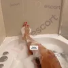 Zdjęcie 6