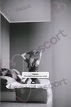 Zdjęcie 2