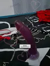 Zdjęcie 6