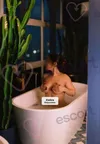 Zdjęcie 3