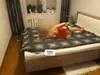 Zdjęcie 4