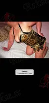 Zdjęcie 1