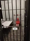 Zdjęcie 1