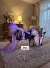 Zdjęcie 3