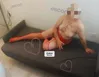Zdjęcie 8
