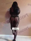 Zdjęcie 8