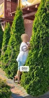 Zdjęcie 2