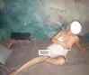 Zdjęcie 1