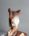 Zdjęcie 9