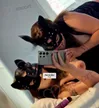 Zdjęcie 4