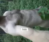 Zdjęcie 2