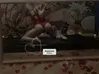 Zdjęcie 6