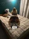 Zdjęcie 5