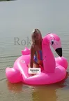 Zdjęcie 4