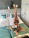 Zdjęcie 2