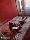 Zdjęcie 2