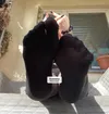 Zdjęcie 4