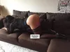 Zdjęcie 3
