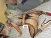 Zdjęcie 7