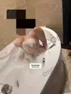 Zdjęcie 3
