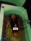 Zdjęcie 3