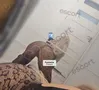 Zdjęcie 2