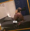 Zdjęcie 4