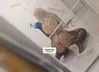Zdjęcie 6