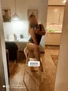 Zdjęcie 5