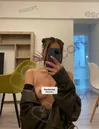 Zdjęcie 1