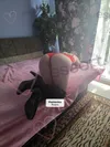 Zdjęcie 1