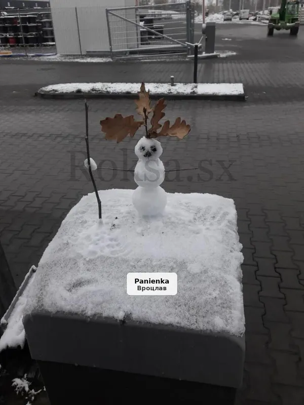 Секс для женщин