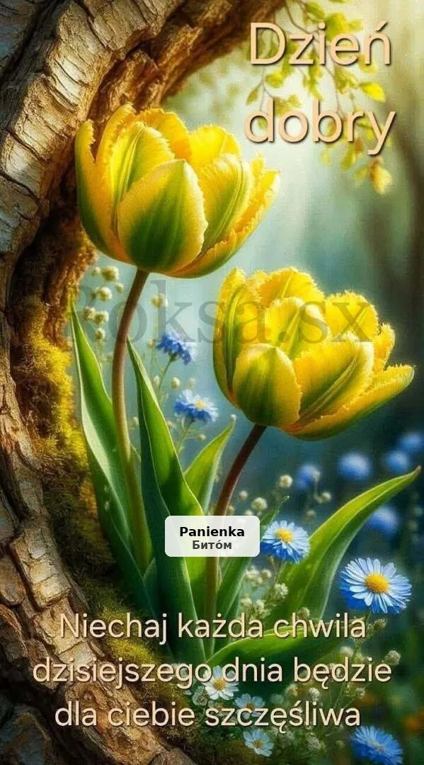 Вечірні зустрічі - Дзеш, 28 років