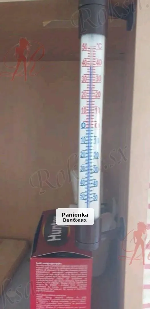 Wesoły 40-latek szuka towarzystwa do zabawy