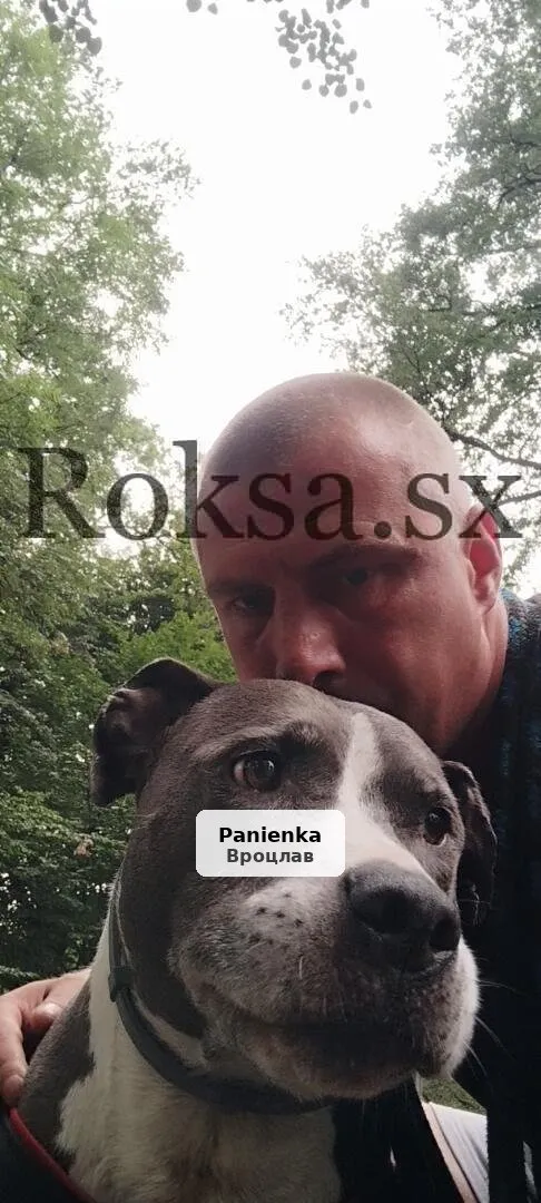 Poznam panią do stałego układu bez zobowiązań