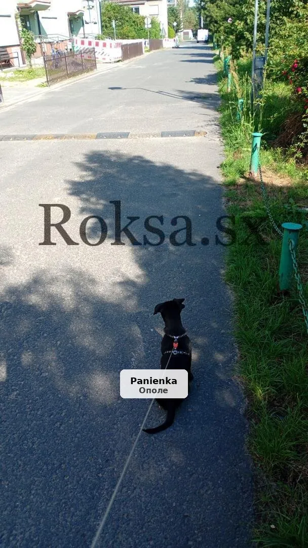 Atrakcyjny i zadbany mężczyzna zaprasza na wspólne chwile - 1/1