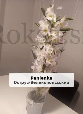 Доглянута пара за 40 шукає жінку для спільної розваги - 1/1