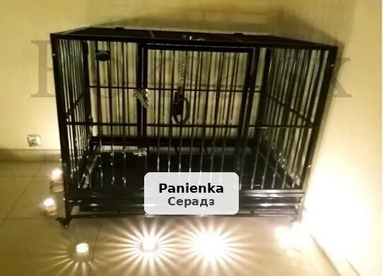 Сесії BDSM для покірних жінок і пар - реальні зустрічі - 1/1