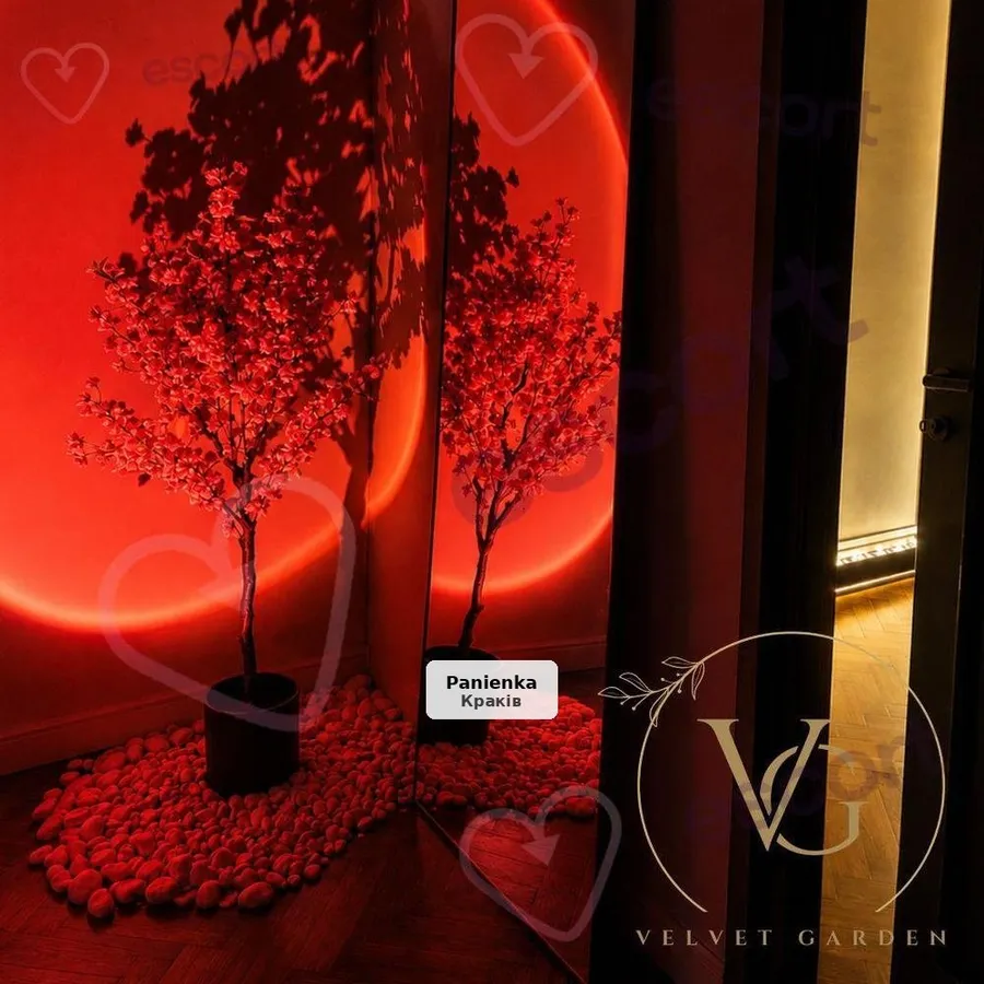 VG Massage Krakow — Эротические и Классические Массажные Сеансы - 1/8