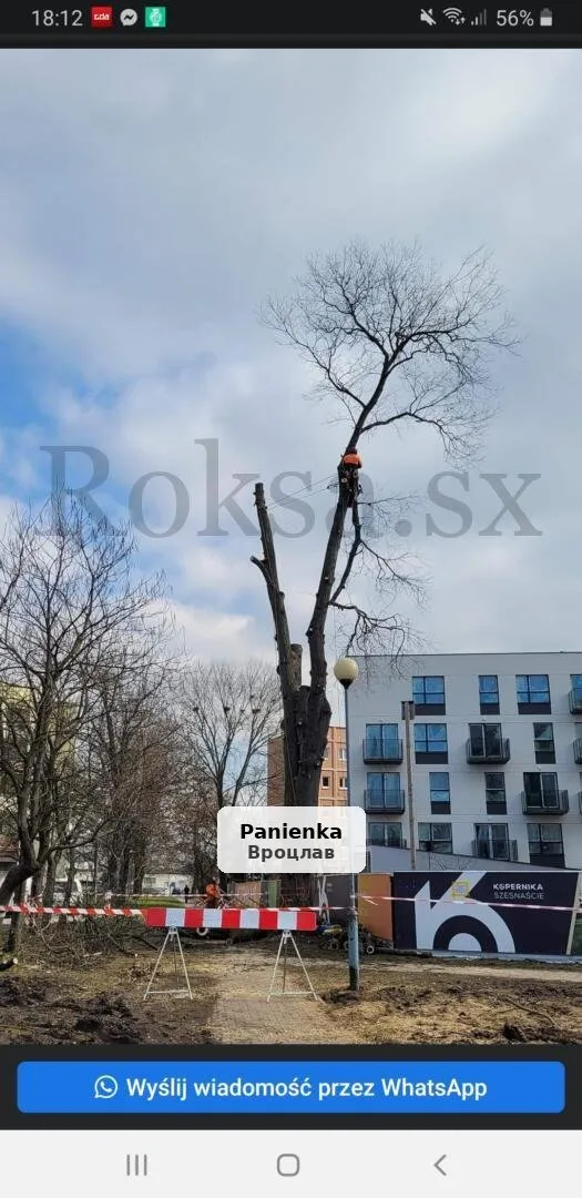 Napisz do mnie, a na pewno nie pożałujesz - 1/1