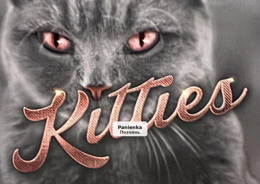 Kitties Suite: Ekskluzywny dom w Bürstadt zaprasza do współpracy - 1/1